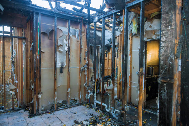 Professional Fire Damage Removal technician working in Erie, IL
